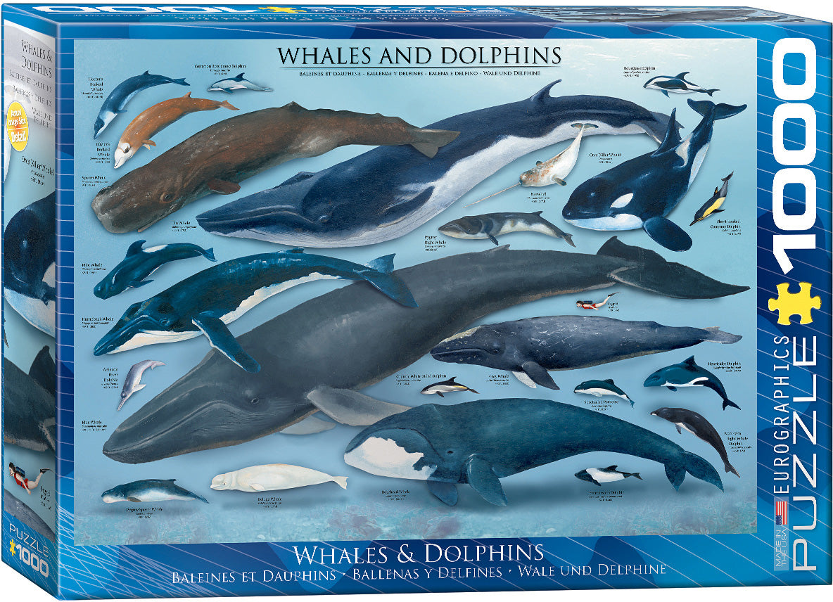 Whales & Dolphins