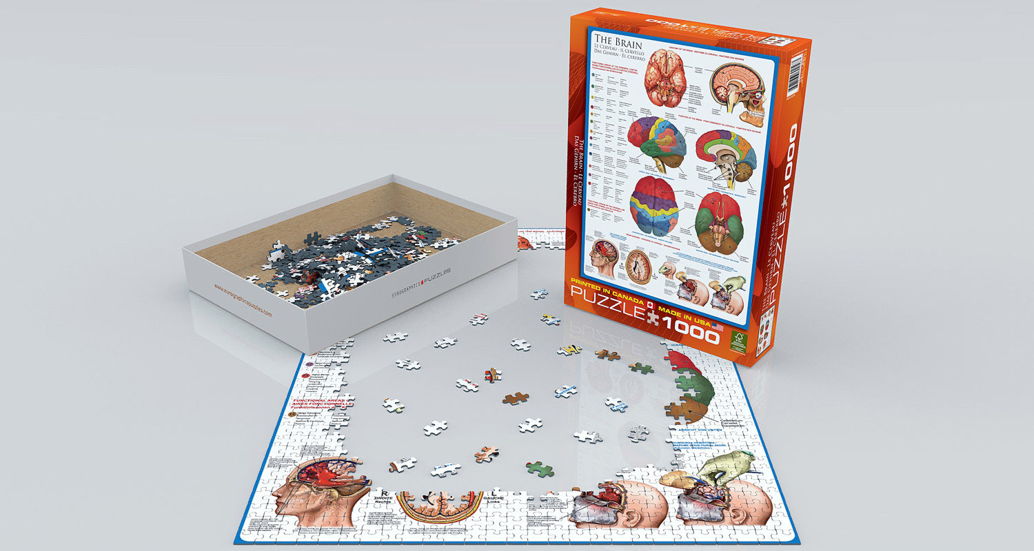 The Brain 1000-piece Puzzle