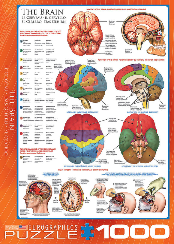 The Brain 1000-piece Puzzle