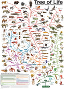 The Tree Of Life 1000-piece Puzzle