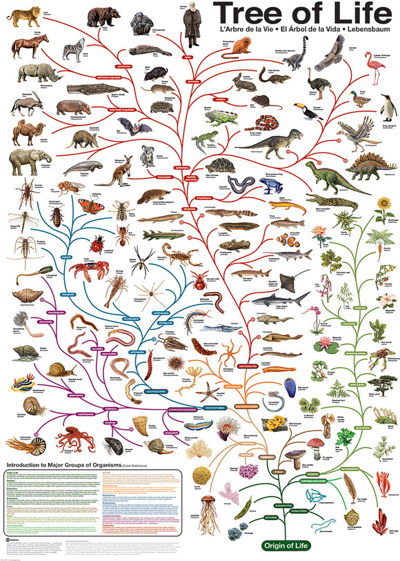 The Tree Of Life 1000-piece Puzzle