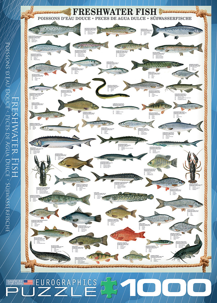 A colorful jigsaw puzzle titled 'Freshwater Fish' from Eurographics, featuring a variety of illustrated freshwater fish species along with their names and details. The 1000-piece puzzle showcases detailed imagery of fish such as trout, bass, and catfish, set against a blue background with a decorative border.