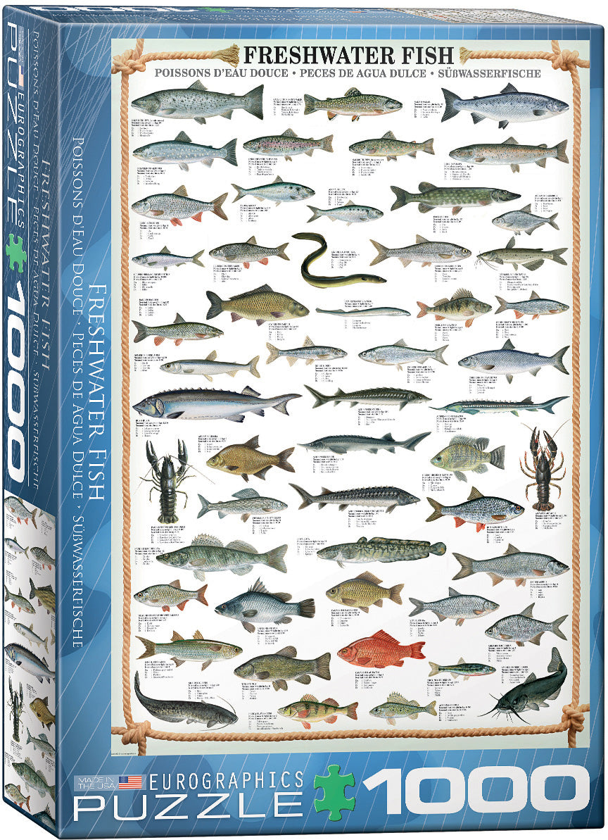 Eurographics 1000-piece jigsaw puzzle titled 'Freshwater Fish'. The puzzle features a detailed illustration of various freshwater fish species, including salmon, trout, bass, and catfish, each labeled with their common names. The colorful design and educational aspect make it perfect for fish enthusiasts and puzzle lovers alike.