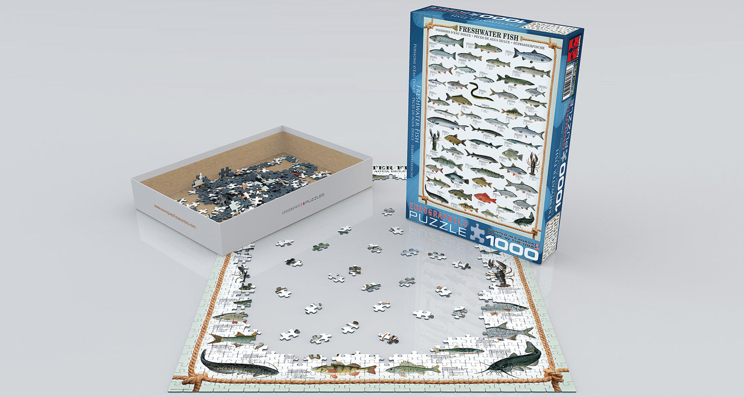 Eurographics Freshwater Fish jigsaw puzzle featuring an assortment of colorful fish illustrations, with a partially completed puzzle laid out on a smooth surface and puzzle pieces scattered around. The box showcases various freshwater species and is designed for enthusiasts.