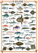 A beautiful jigsaw puzzle featuring an illustration of various sea fish, displaying detailed images and names of different fish species including flounder, mackerel, and more, bordered with a nautical rope design. Ideal for puzzle enthusiasts and marine life lovers.