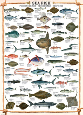 A beautiful jigsaw puzzle featuring an illustration of various sea fish, displaying detailed images and names of different fish species including flounder, mackerel, and more, bordered with a nautical rope design. Ideal for puzzle enthusiasts and marine life lovers.