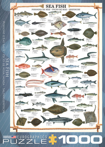 Eurographics jigsaw puzzle titled 'Sea Fish' featuring a detailed illustration of various species of fish. The design includes labels and names of each fish, making it educational and visually appealing. Ideal for puzzle enthusiasts and marine life lovers, this 1000-piece puzzle provides a challenging and enjoyable experience.