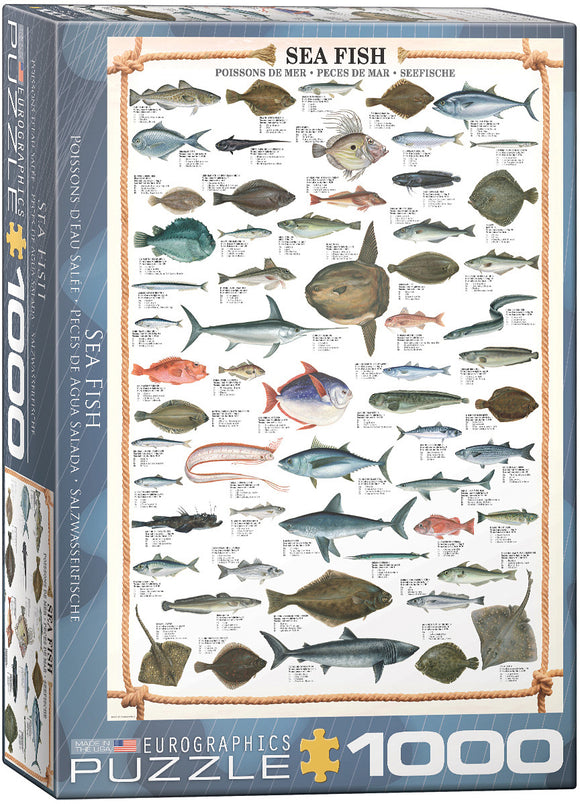 Eurographics Sea Fish Jigsaw Puzzle featuring a detailed illustration of various fish species, including descriptions and names. This 1000-piece puzzle is perfect for marine life enthusiasts and puzzle lovers alike.