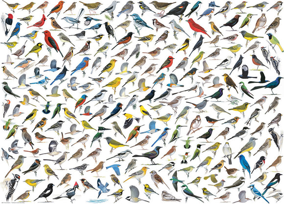 The World of Birds by David Sibley 1000-Piece Puzzle