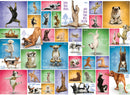 Yoga Dogs 1000-Piece Puzzle 