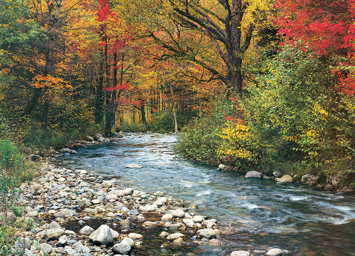 A captivating jigsaw puzzle titled 'Forest Stream' by Eurographics, depicting a serene stream flowing through a vibrant forest with autumn leaves in shades of red, orange, and yellow. Smooth stones line the stream's edge, enhancing the tranquil natural scene.