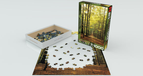 Eurographics Forest Path jigsaw puzzle featuring a serene scene of a wooded path with golden autumn leaves. The puzzle has 1000 pieces and is partially assembled, with many pieces visible in a white box beside the puzzle. The packaging showcases the lush green foliage of the forest path.