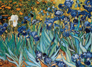 A high-quality jigsaw puzzle featuring 'Irises' by Vincent van Gogh, showcasing vibrant blue irises against a golden background. The puzzle is designed by Eurographics, offering a captivating and artistic challenge for puzzle enthusiasts.