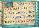 A colorful jigsaw puzzle featuring the American State Birds, designed by Eurographics. The puzzle showcases various state birds with illustrations and facts about each bird, laid out in a grid format. It includes detailed images of birds such as the Northern Cardinal and American Goldfinch, alongside their respective states. The vibrant packaging emphasizes the national theme, combining art and education for all ages.