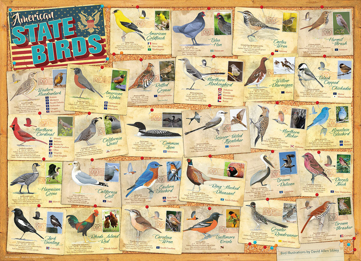 American State Birds