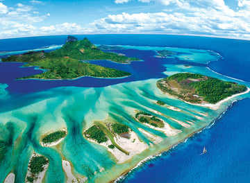 Coral Reef jigsaw puzzle by Eurographics featuring a vibrant aerial view of a tropical island, showcasing lush green landscapes and crystal clear blue waters. Perfect for puzzle lovers and enthusiasts to enjoy a colorful scenery while piecing together the beautiful formations of nature.