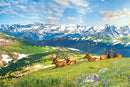 A beautifully designed jigsaw puzzle featuring a serene mountain landscape where several elk are resting in a grassy meadow, surrounded by vibrant wildflowers and snow-capped peaks under a clear blue sky.