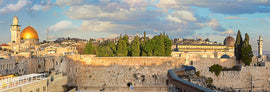 A panoramic view of Jerusalem featuring the iconic Golden Dome of the Rock, ancient stone walls, and lush greenery, perfect for the Eurographics jigsaw puzzle titled 'Jerusalem'. This detailed jigsaw puzzle invites you to explore the historical and cultural significance of one of the world's oldest cities through an engaging and interactive experience.