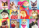 A vibrant jigsaw puzzle featuring a collage of silly cats, each wearing unique accessories like hats, scarves, and bows. The cats come from various breeds, showcasing playful expressions against colorful backgrounds in a grid layout, making it a fun and engaging puzzle experience for cat lovers.