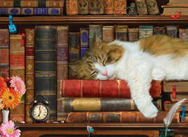 A cozy scene featuring a sleeping cat on a stack of vintage books. The bookshelf is filled with various classic titles, alongside colorful flowers and a small clock, creating a warm, inviting atmosphere perfect for cat lovers and puzzle enthusiasts alike. This image represents The Cat Nap jigsaw puzzle from Eurographics, showcasing its charming and serene theme.