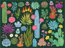 A colorful jigsaw puzzle titled 'Desert Flora' by Galison, featuring various vibrant illustrations of cacti, succulents, and flowering plants set against a dark green background. The puzzle pieces show a wide range of plant types with intricate details and bright colors, perfect for botanical enthusiasts.