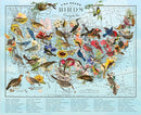 Wendy Gold State Birds 1000 Piece Puzzle
