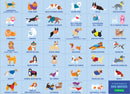 A colorful jigsaw puzzle featuring a variety of dog breeds, each illustrated in a playful style. The puzzle includes dogs like Labradoodle, Shih Tzu, and Golden Retriever, each in unique outfits. Perfect for dog lovers and puzzle enthusiasts alike.