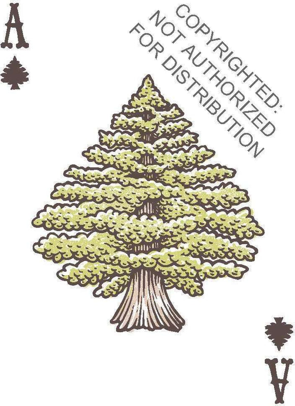 Great Outdoors Playing Cards by Chronicle Books, featuring a colorful illustration of a majestic tree on the Ace card, perfect for outdoor-themed games and gathering with friends.