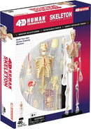 Packaging of the 4D Human Skeleton Anatomy Model by 4D Science, featuring a detailed display of the human skeleton with detachable parts and assembly guide. Ideal for educational purposes, this DIY kit allows users to build their own anatomical model, making learning interactive and engaging.