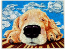 Close up of a sleeping dog's face