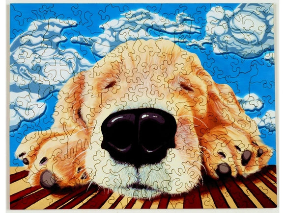 Close up of a sleeping dog's face