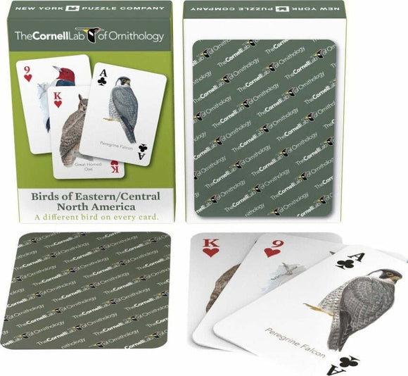Birds of Eastern/Central North America Playing Cards