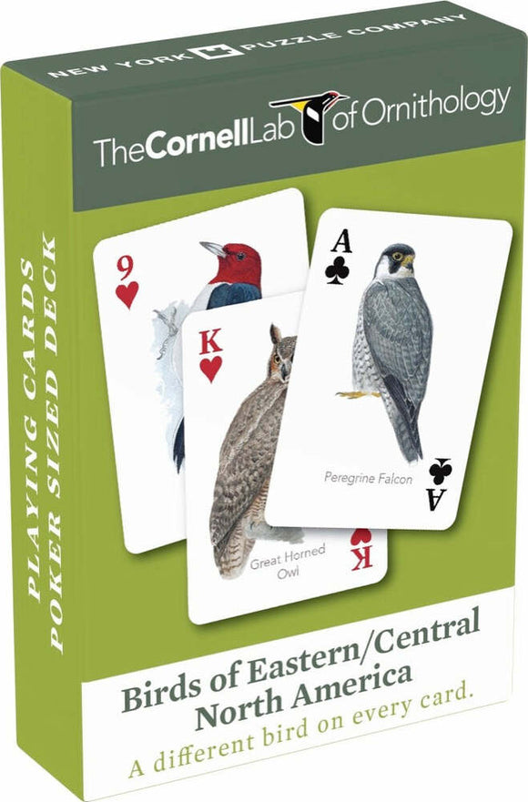 Birds of Eastern/Central North America Playing Cards