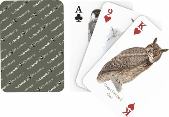 Birds of Eastern/Central North America Playing Cards