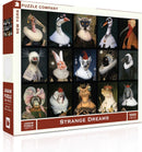 Strange Dreams (1000 pc)
