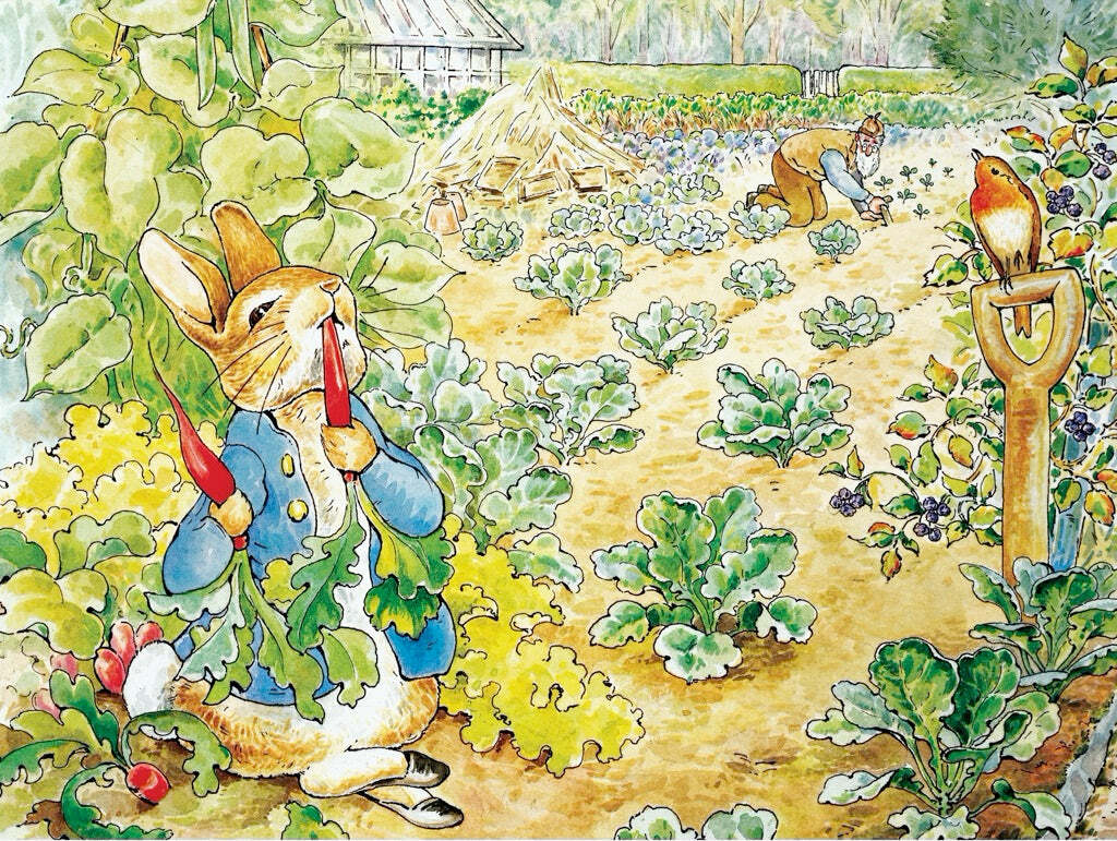 Peter Rabbit's Garden Walk