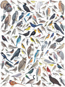 Birds of Western North America Puzzle (1000 Pc)