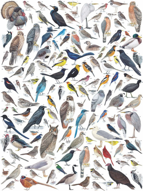 Birds of Western North America Puzzle (1000 Pc)