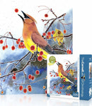 Cedar Waxwing Mini