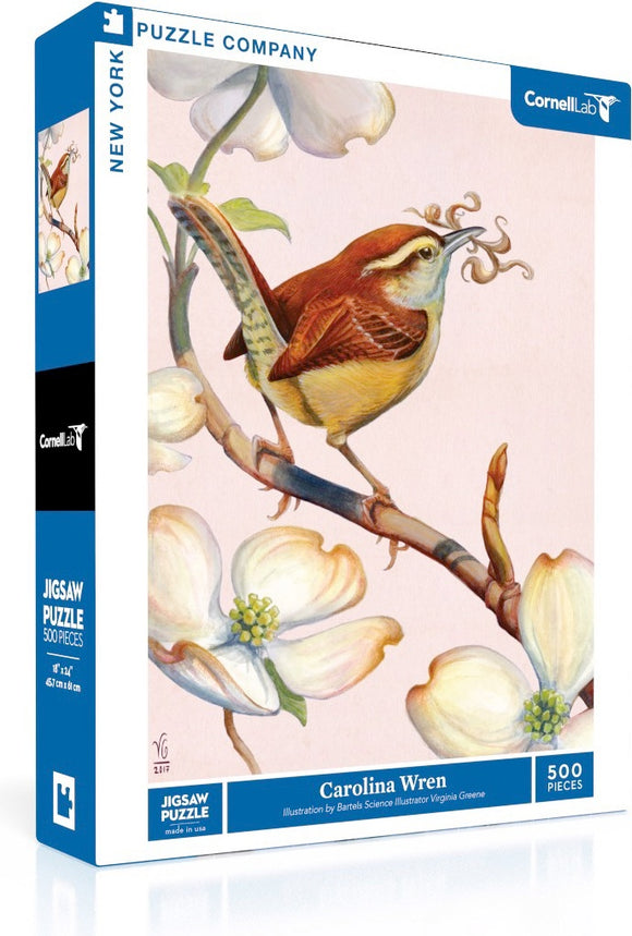 Carolina Wren (500 pc)