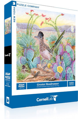 Greater Roadrunner (500 pc)