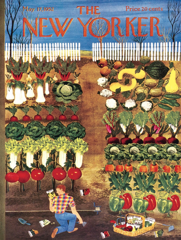 Vegetable Garden - Puzzle (1000 pc)