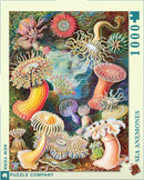 Colorful jigsaw puzzle featuring an underwater scene of various sea anemones. The vibrant artwork showcases intricate details of different species in a dynamic coral environment. Perfect for marine life enthusiasts and puzzle lovers alike.