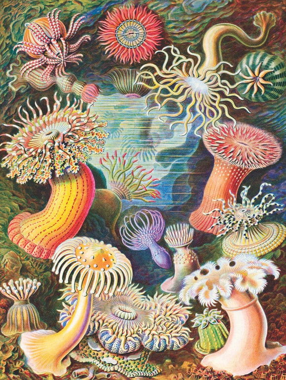 A vibrant jigsaw puzzle depicting a colorful underwater scene filled with various sea anemones in shades of pink, yellow, and green, showcasing their intricate shapes and textures. The background features a rich interplay of colors, creating a captivating oceanic atmosphere.