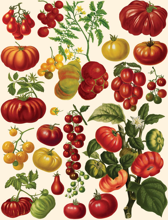 A vibrant jigsaw puzzle featuring a beautifully illustrated collection of various types of tomatoes, including red, yellow, and green varieties, alongside their leafy green plants. The design showcases the diversity of tomatoes in an artistic arrangement, making it perfect for puzzle enthusiasts and garden lovers alike.