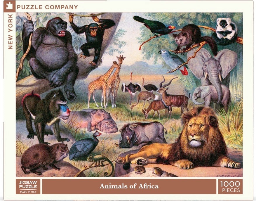 ANIMALS OF AFRICA