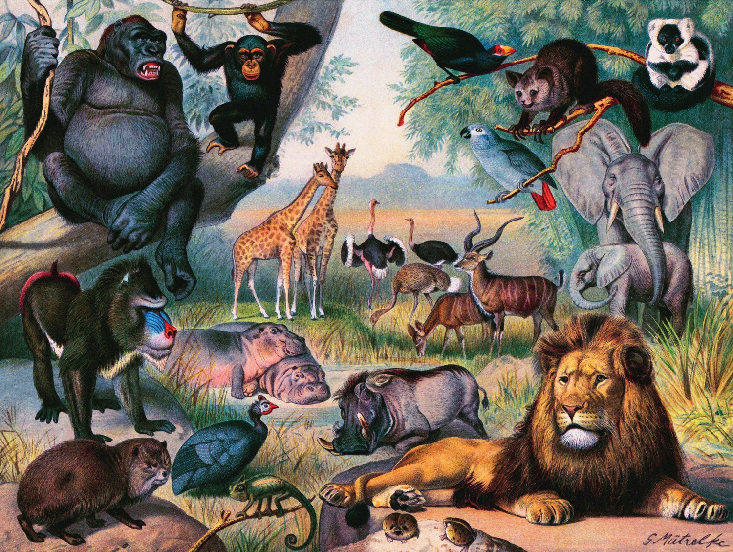 Colorful and detailed illustration of various African animals including a lion, giraffes, elephants, baboons, and birds set in a natural landscape. Ideal for animal lovers and jigsaw puzzle enthusiasts.