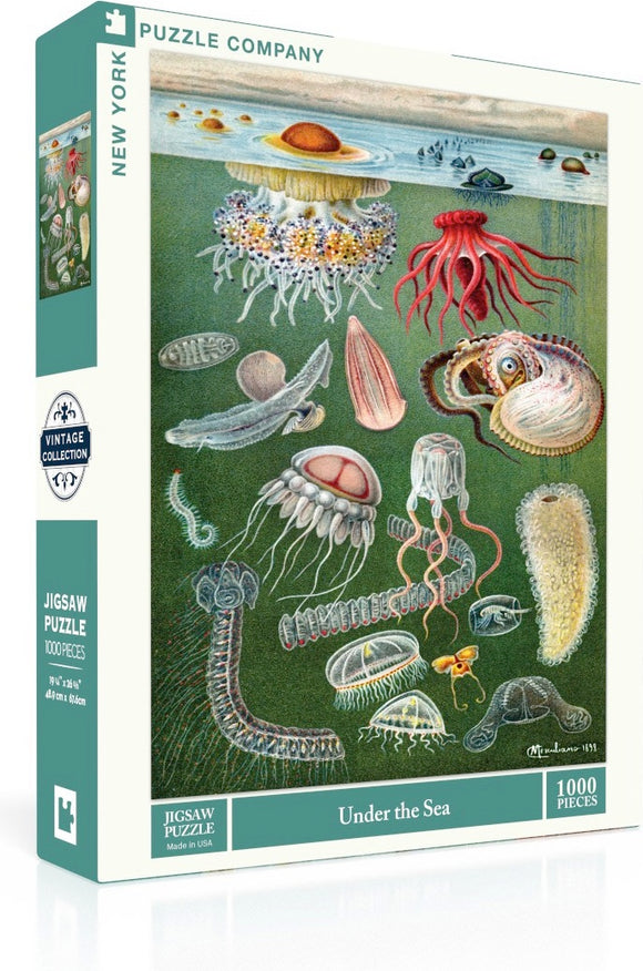 Under the Sea (1000 pc)