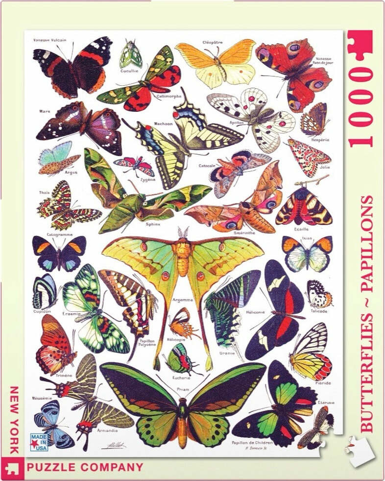 A beautifully illustrated jigsaw puzzle featuring various butterfly species. The design showcases detailed representations of 28 different butterflies, each labeled with their names. Vibrant colors and intricate patterns highlight the beauty of butterflies from around the world, making it a perfect choice for nature lovers and puzzle enthusiasts.