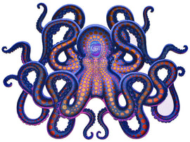 Octopus